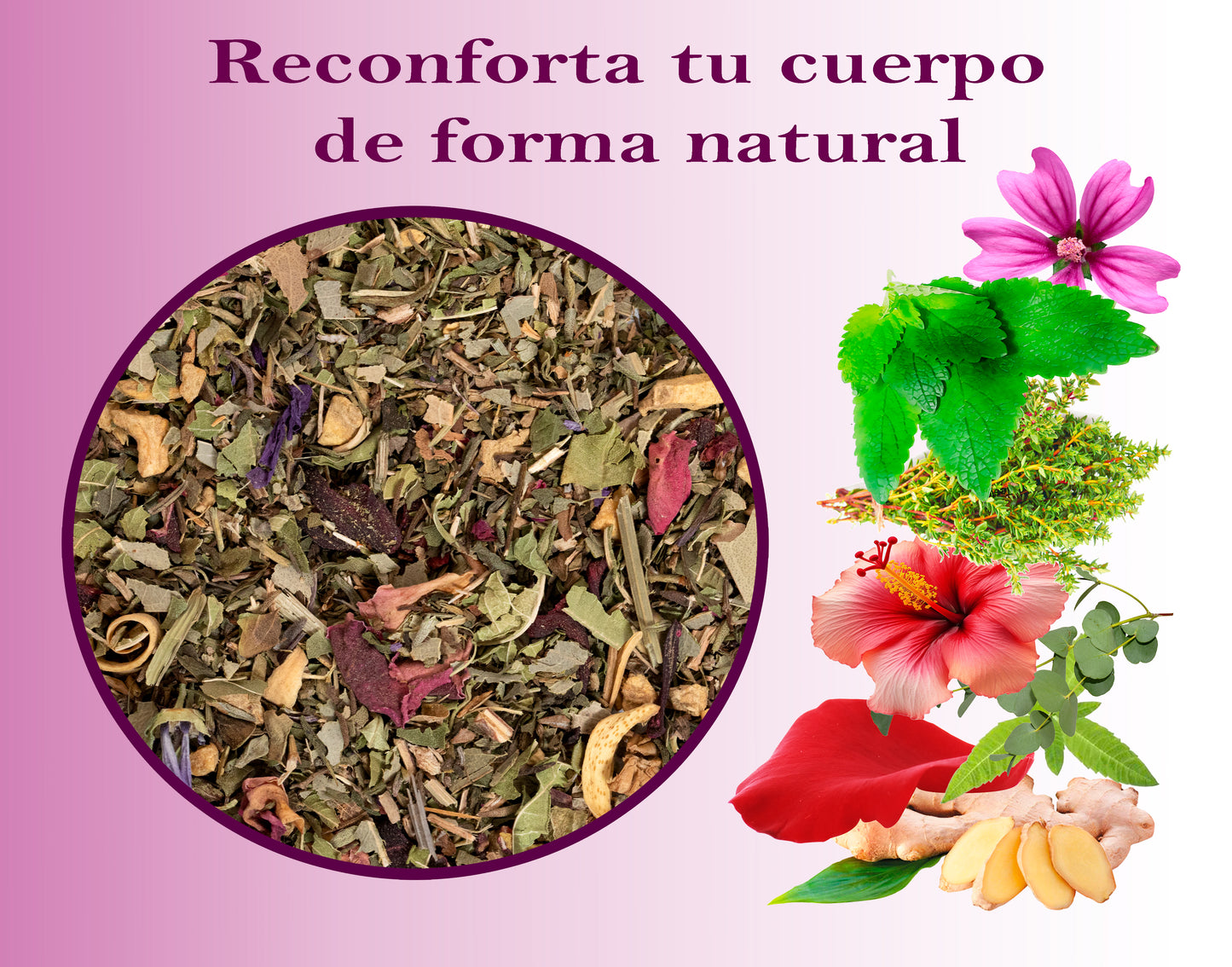 Infusión bienestar - Infusión ideal para la congestión y la tos- Lata 100 gr.