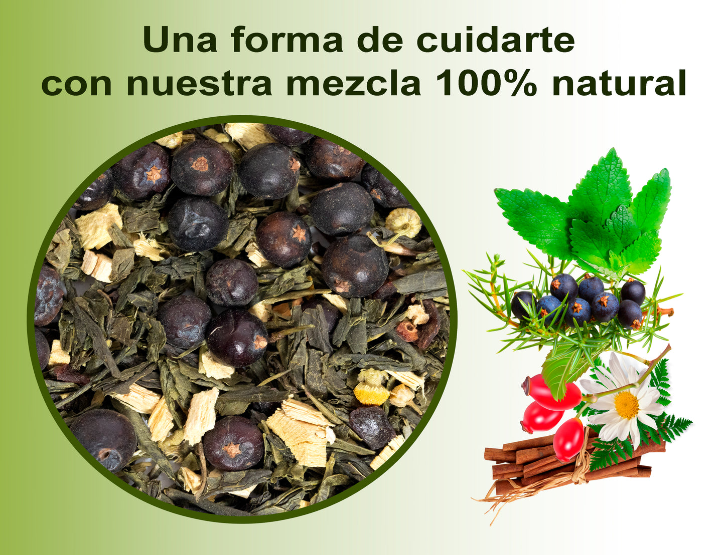 Infusión Detox - Infusión depurativa - Té de hierbas dietética - Lata 100 gramos