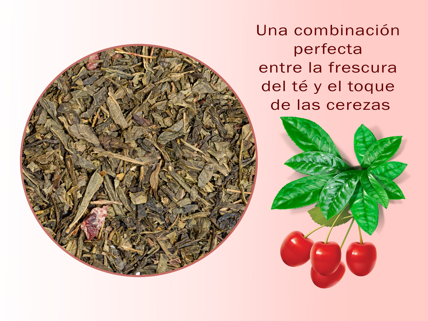 Té verde sencha con cerezas salvajes - Infusión antioxidante - Lata 100 g.