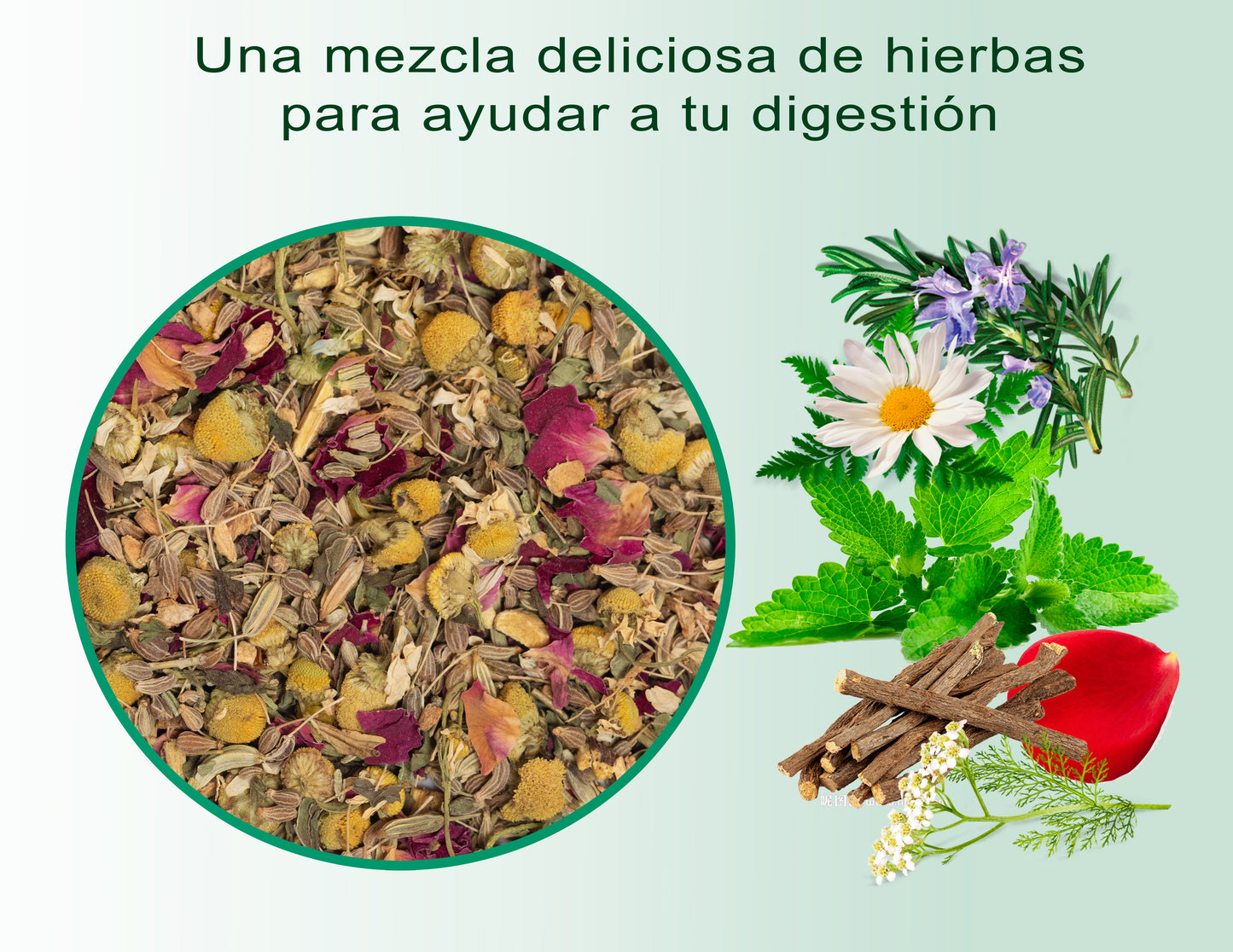 Infusión Digestiva - Infusión antioxidante y relajante - Infusión sin teína - Lata 100 gramos