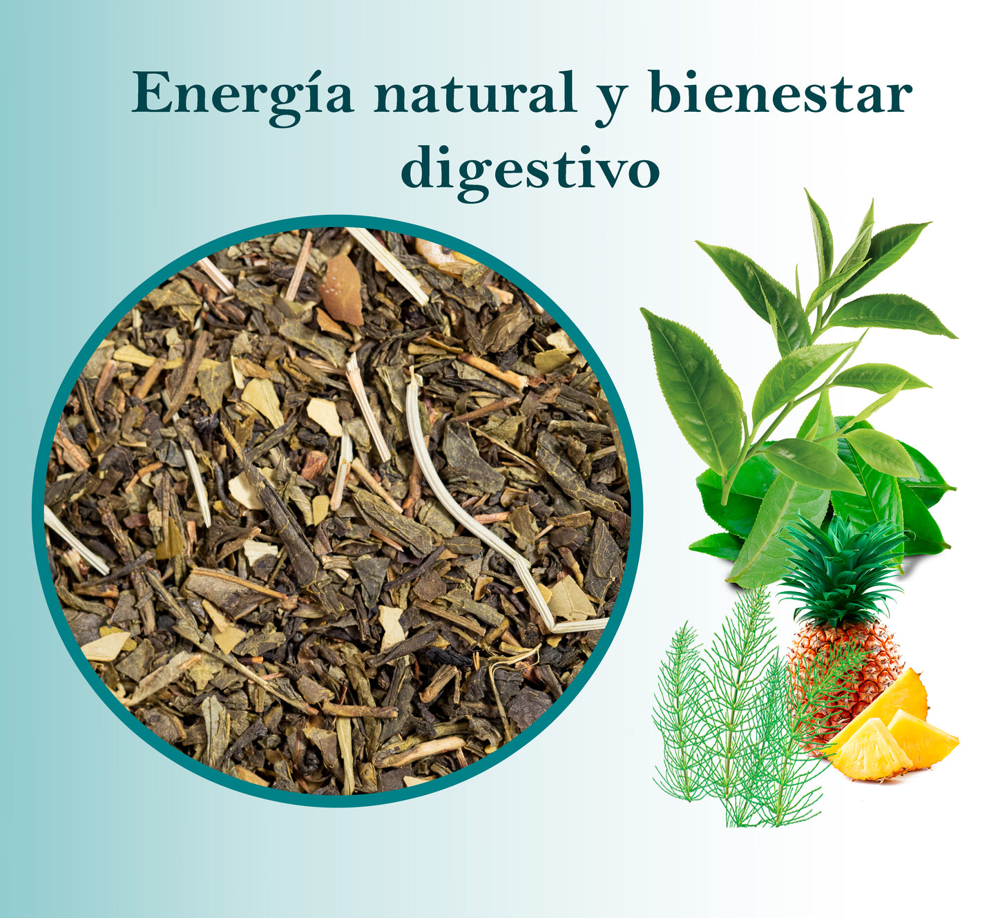 Te japonés desintoxicante - infusión depurativa - Te de hierbas para eliminar líquidos - 15 pirámides.