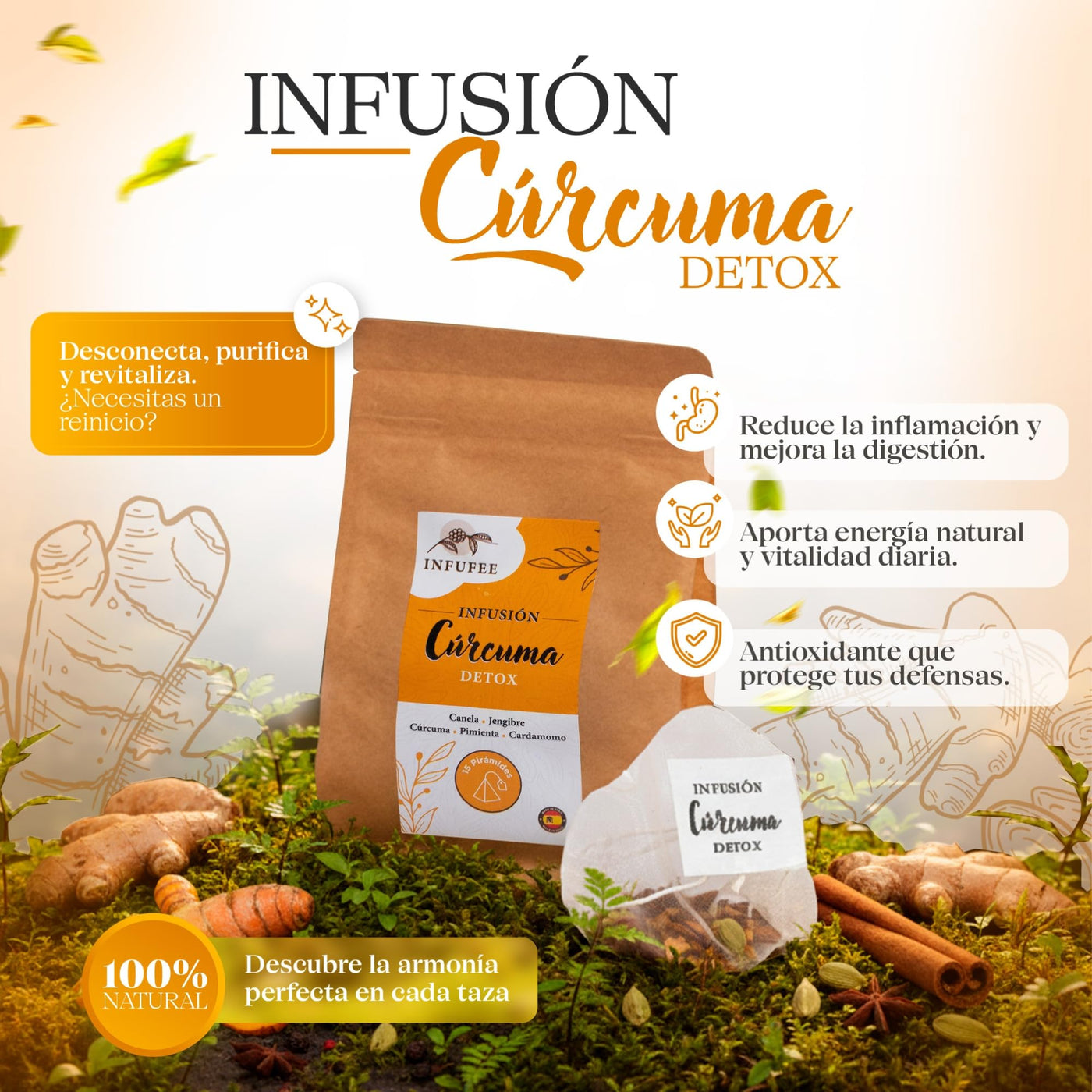 Infusión Detox Cúrcuma - Infusión depurativa - Infusión dietética - Sin teína.