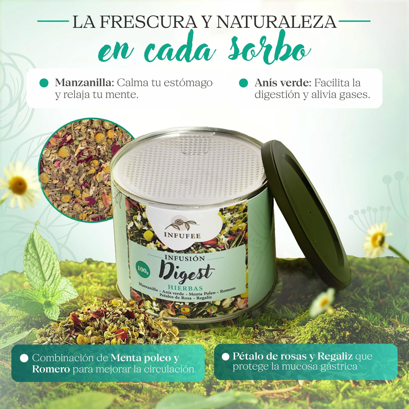 Infusión Digestiva - Infusión antioxidante y relajante - Infusión sin teína - Lata 100 gramos