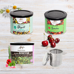Pack Ritual Armonia: Contiene infusion Digest, Bienestar, té verde sencha con cerezas y filtro para té